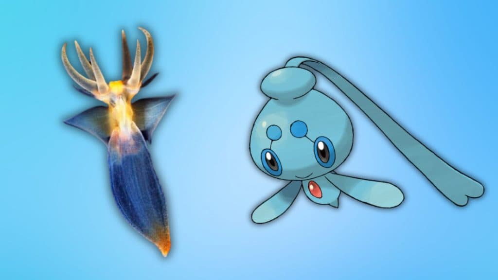 phione sea angel pokemon