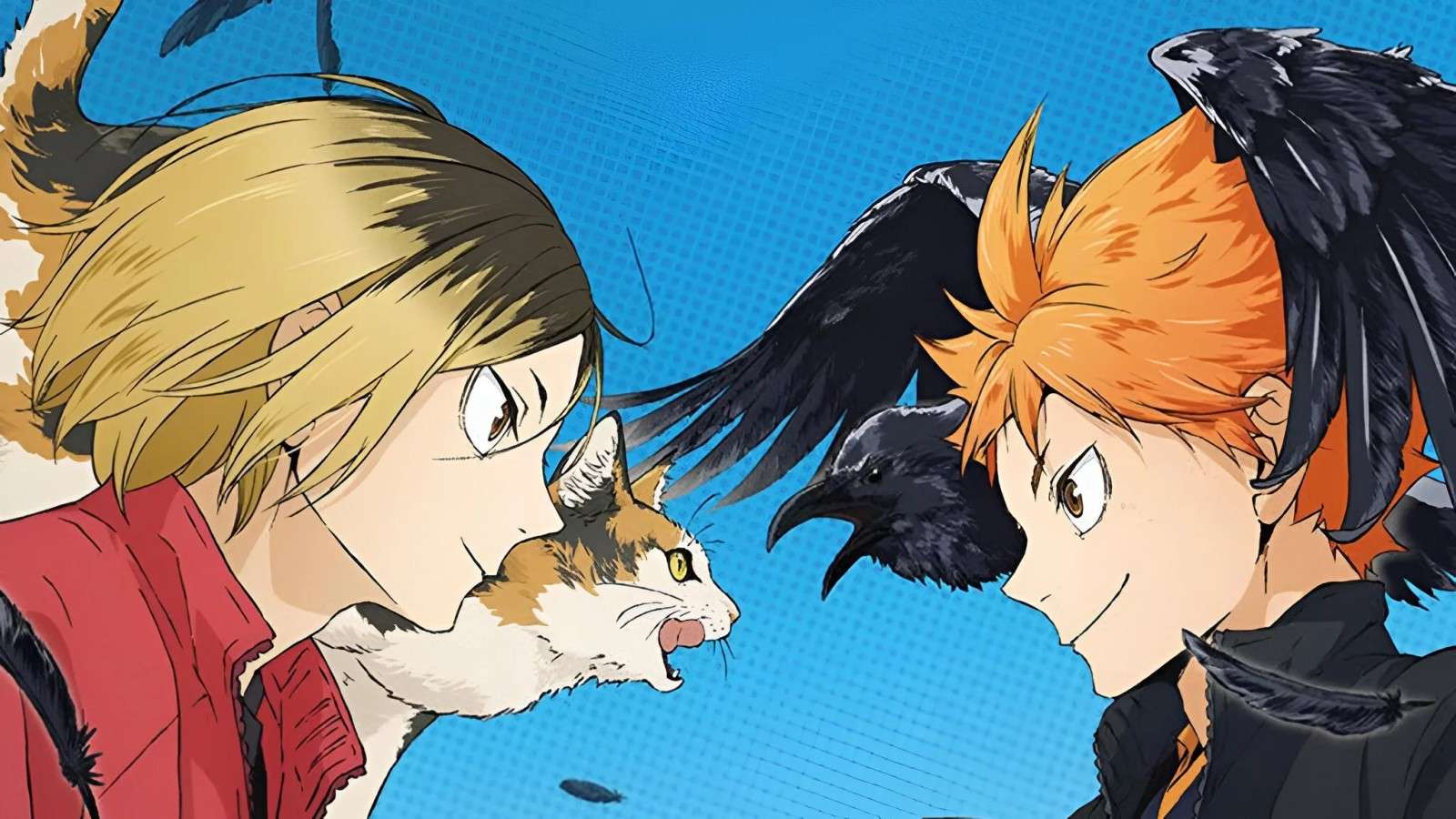 Haikyuu!! The Dumpster Battle is missing scenes from the manga – and some  fans are angry - Dexerto