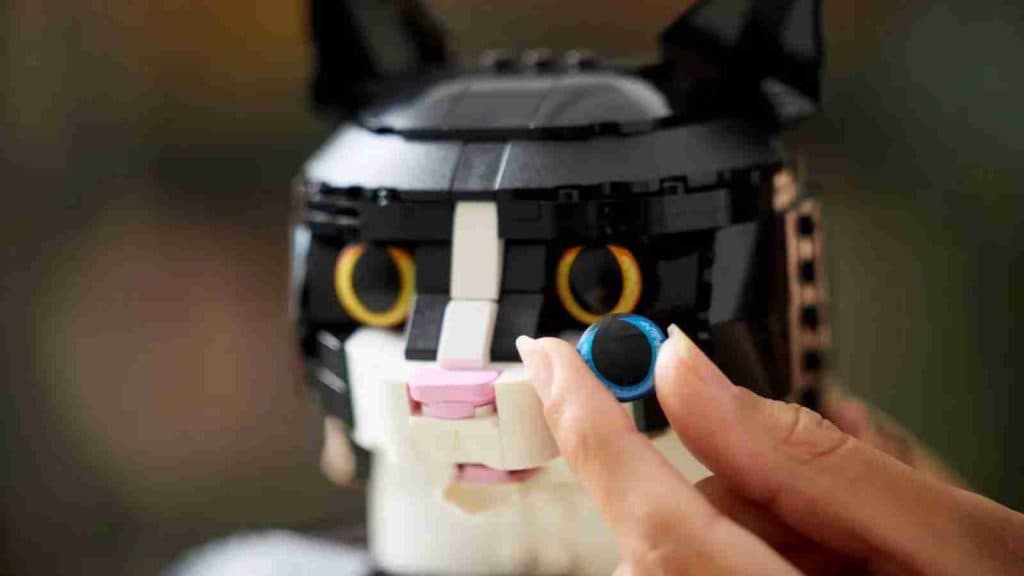 The eyes of the LEGO Tuxedo Car is interchangeable.