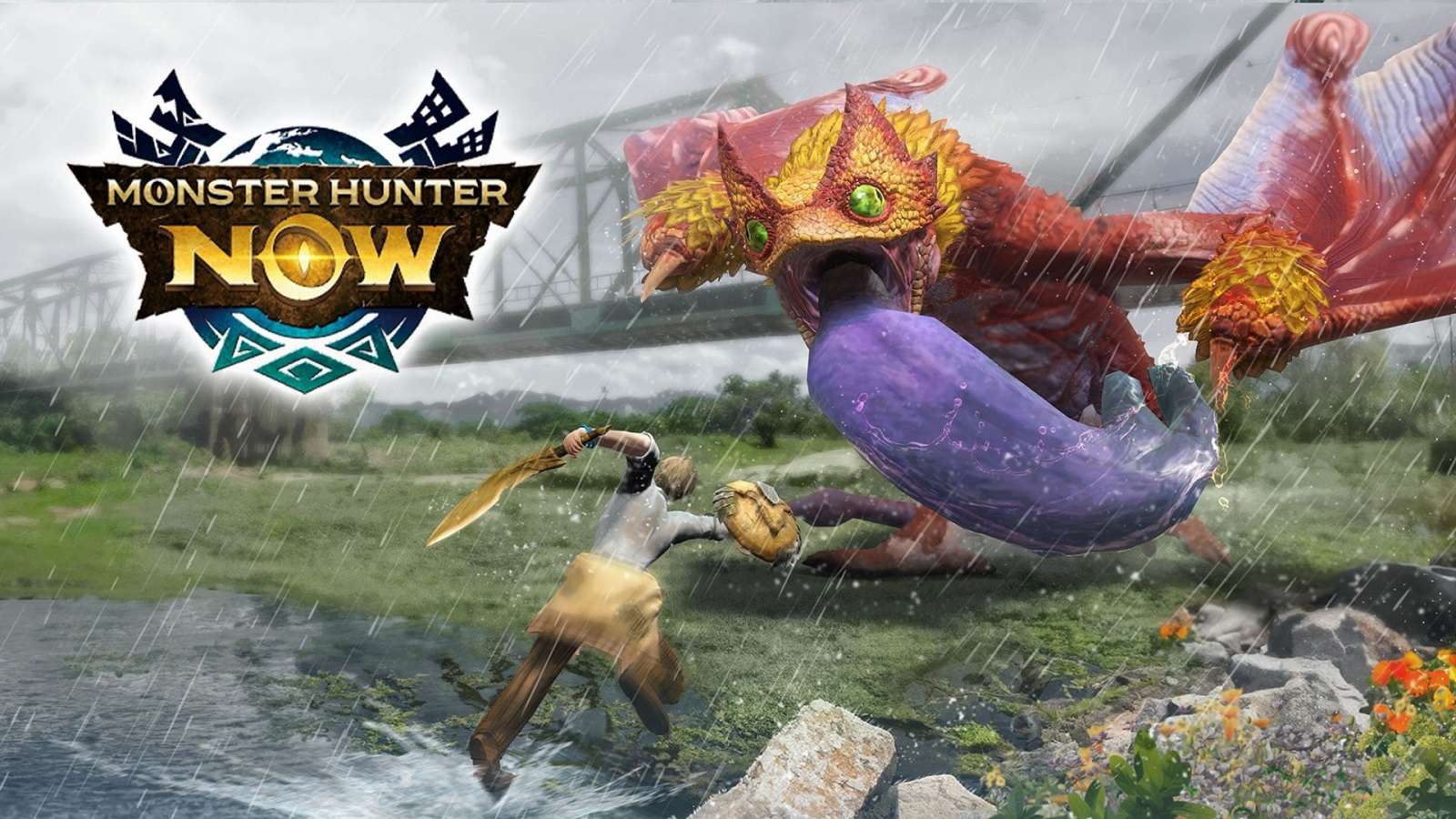 Hunter fighting a Coral Pukei-Pukei