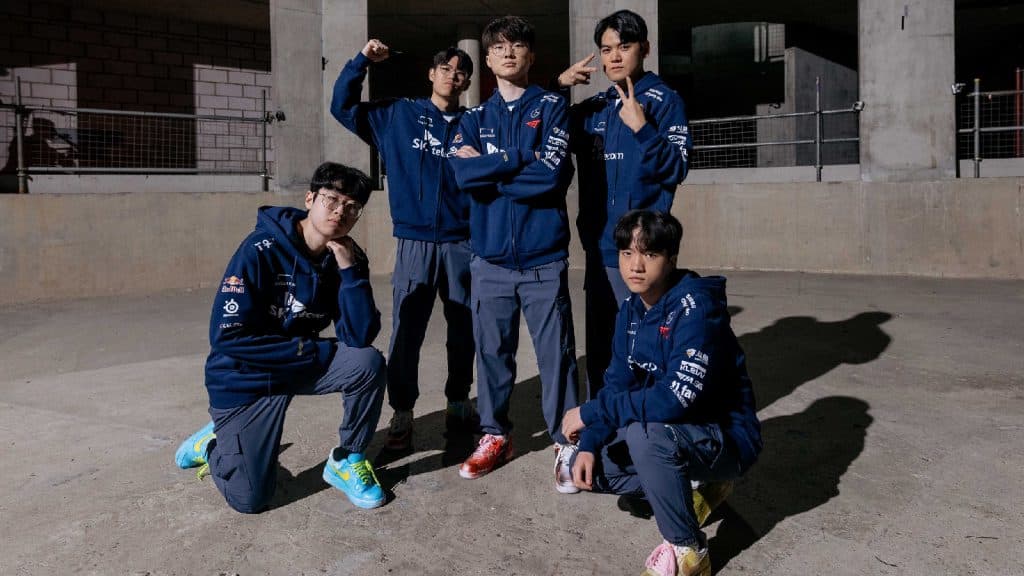 T1 feature image from MSI