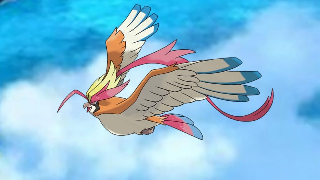 Mega Pidgeot