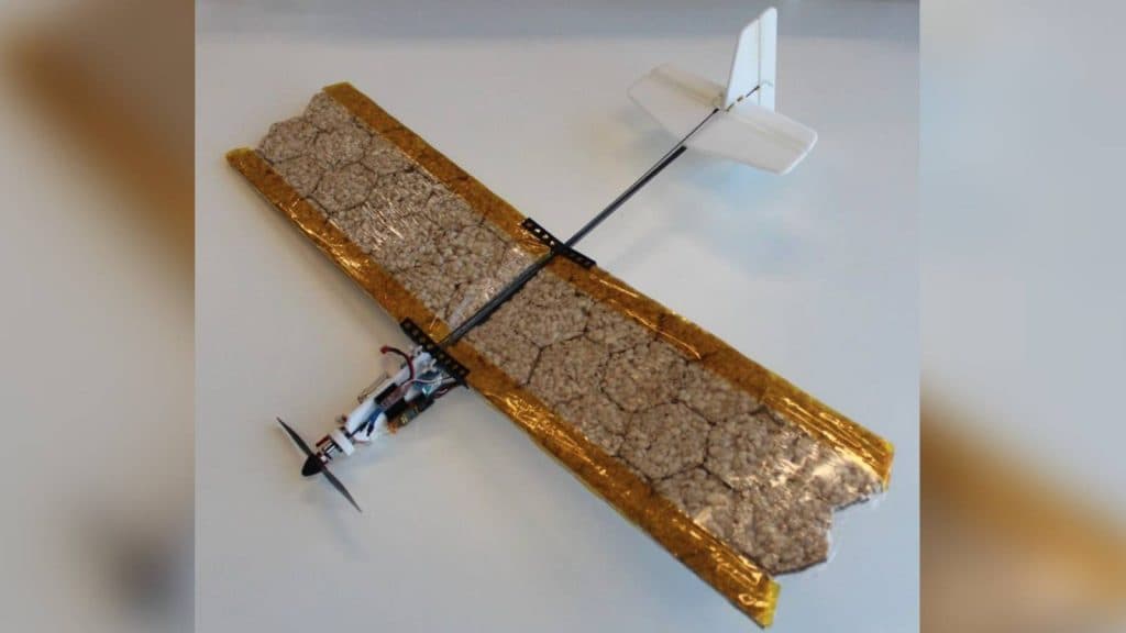 Photo of the RoboFood drone from the 'Towards edible drones for rescue missions: design and flight of nutritional wings' research paper.