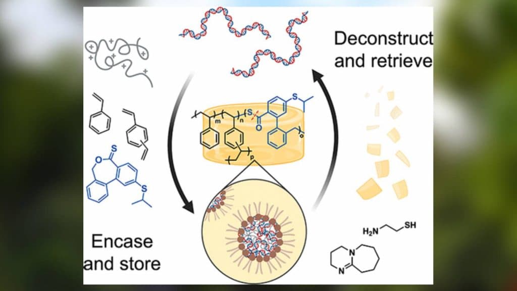 Image taken from the paper 'Reversible Nucleic Acid Storage in Deconstructable Glassy Polymer Networks' for the Journal of the American Chemical Society.