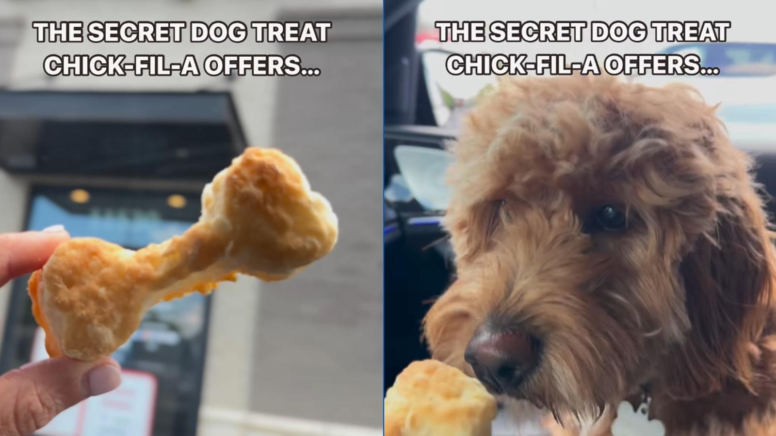 Chick-fil-A dog treat