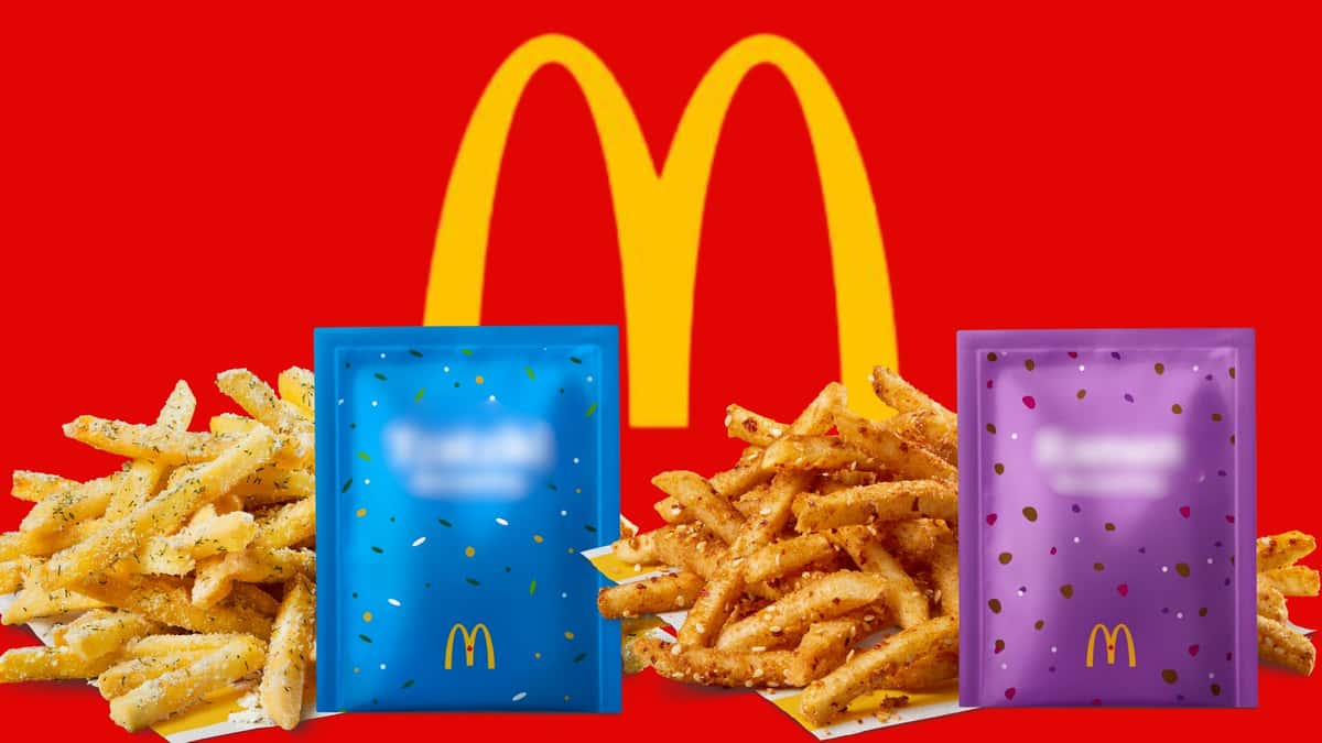 mcshaker fries