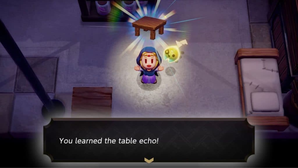 Zelda getting a chair Echo