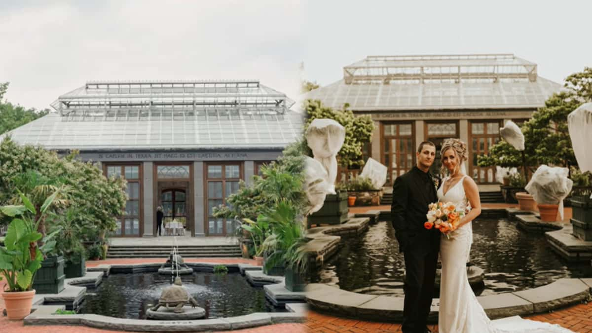 Botanical gardens without and with netting.