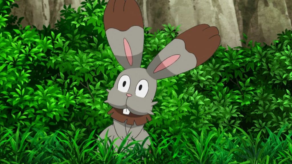 pokemon anime bunnelby