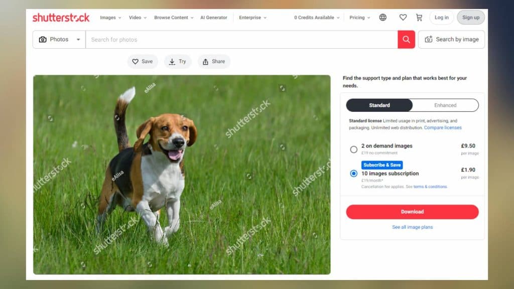Screenshot of the Shutterstock site featuring the image by Natallia Yaumenenka used by Panasonic.