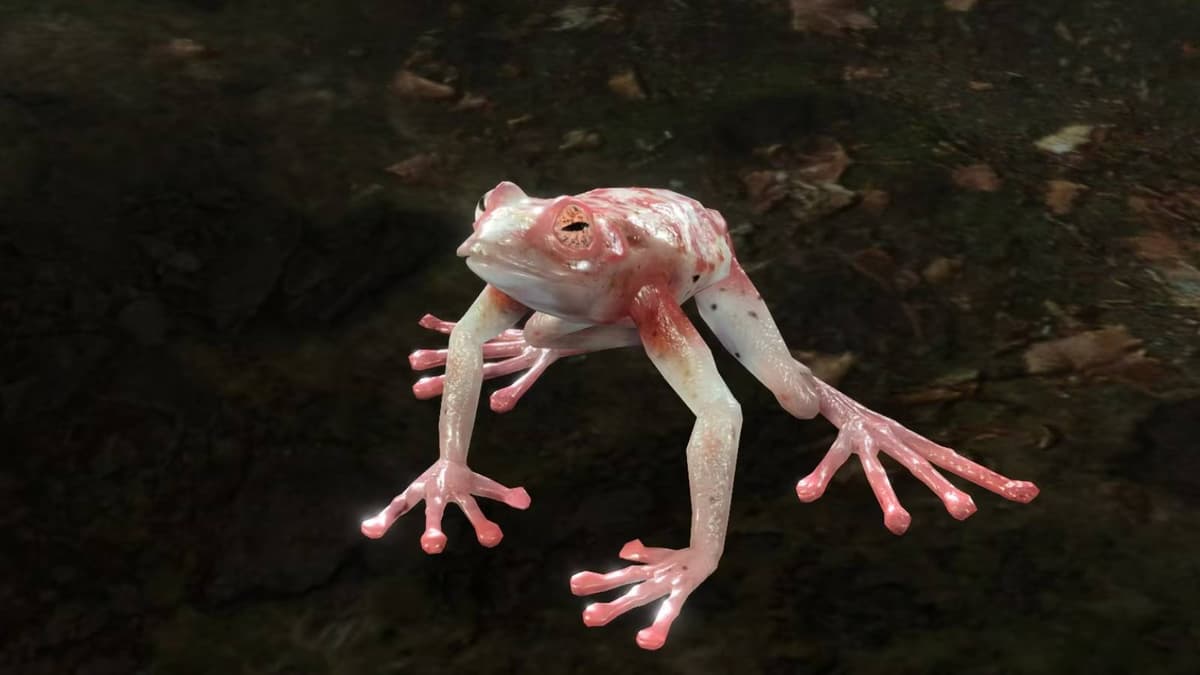 Baldur's Gate 3 Addled Frog