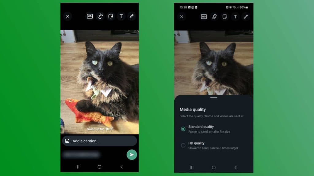 Two screenshots on an Android phone or sending an HD photo of a black cat via WhatsApp.