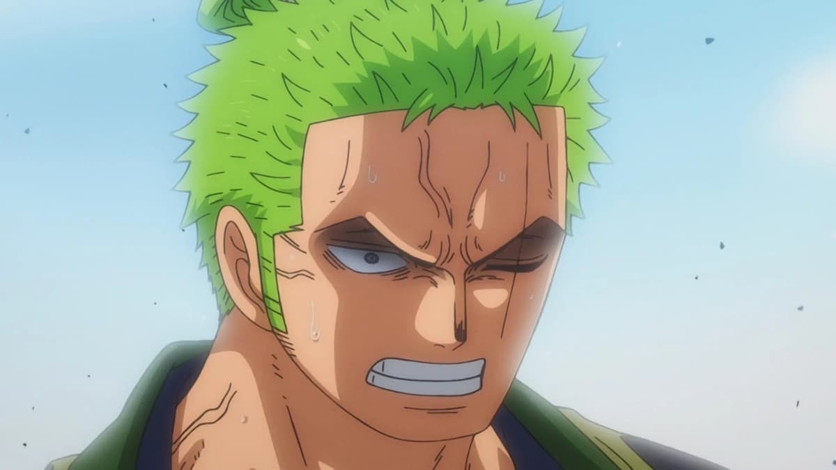 One Piece Zoro