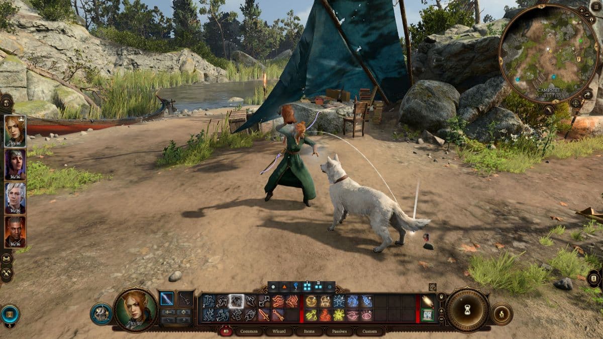 Baldur’s Gate 3 player discovers “deeply disturbing” toy to play fetch with Scratch