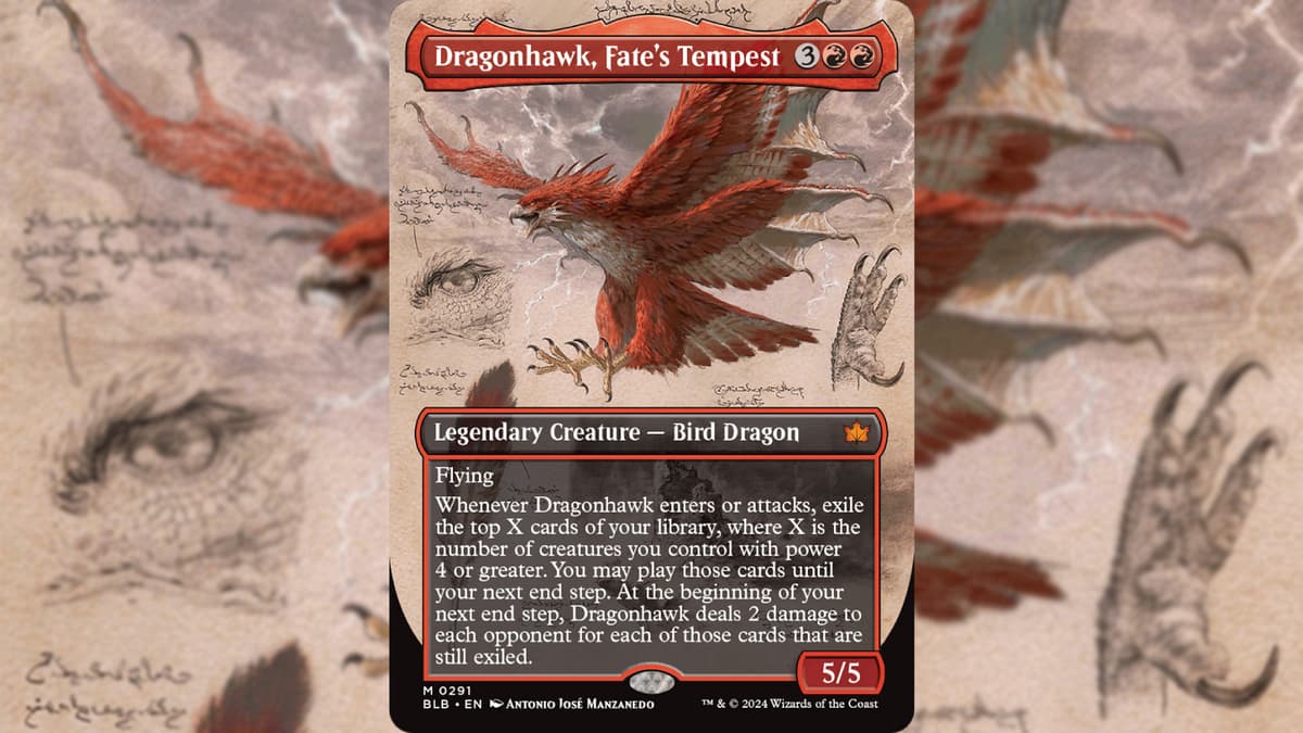 MTG Bloomburrow Dragonhawk card