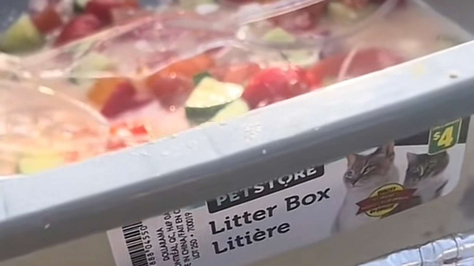 cat litter box used at wedding as serving dish