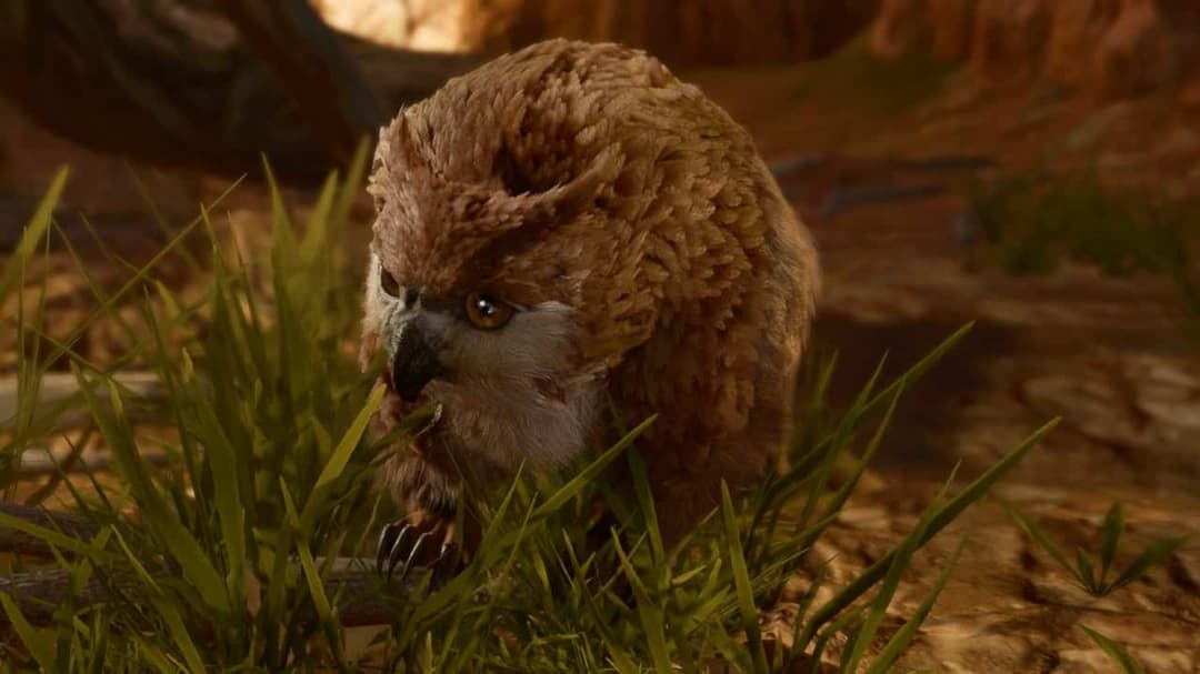 Baldur’s Gate 3 players are making gruesome mistake with Owlbear cub