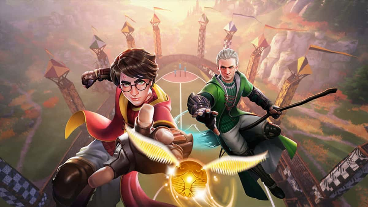 Harry Potter Quidditch Champions Seekers