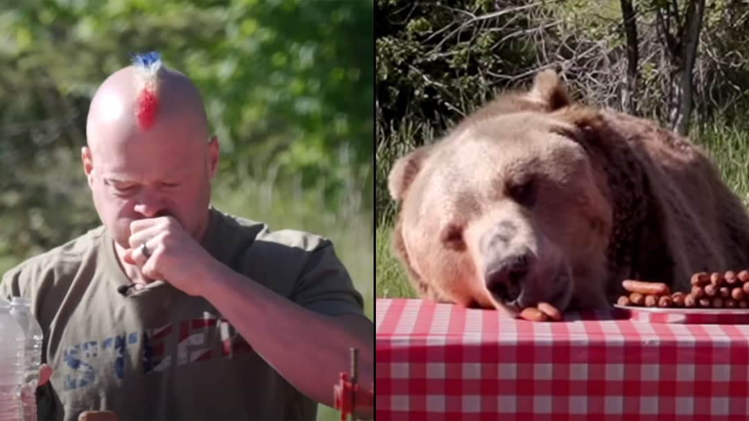 Professional eater challenges grizzly bear to hot dog eating contest in viral YouTube video