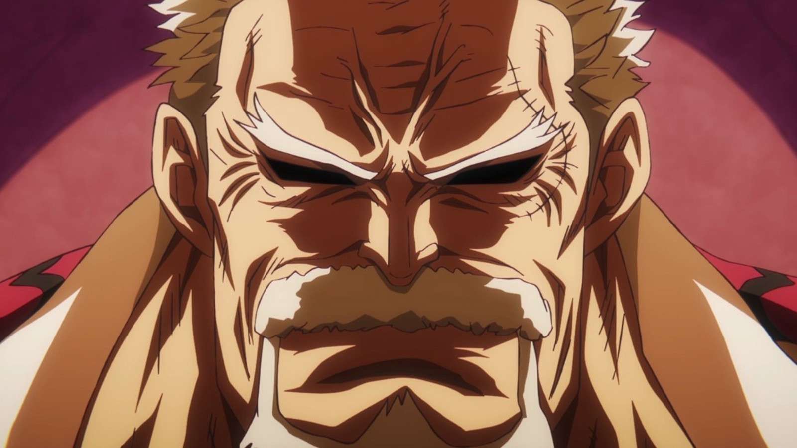 Garp in One Piece