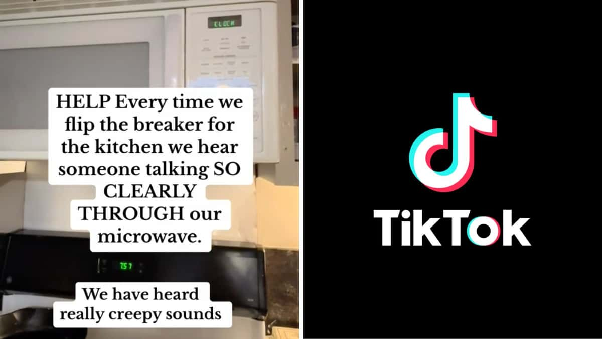 Microwave talking in viral TikTok