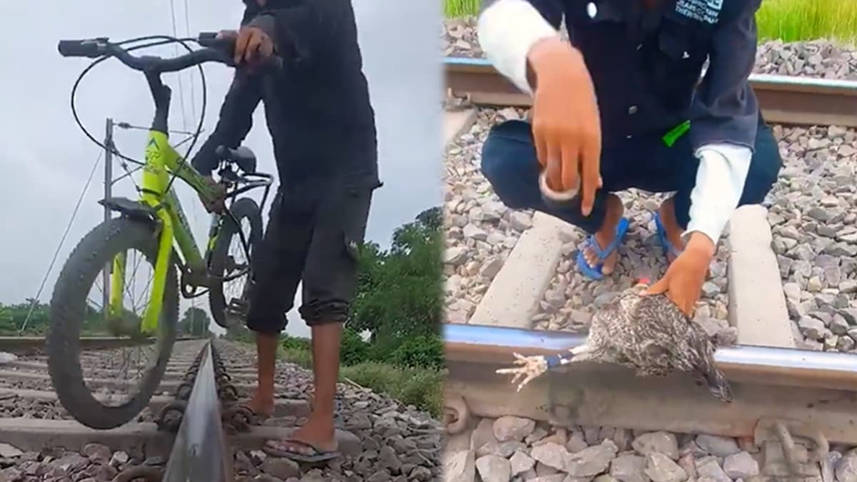 YouTube placing bike and chicken on railway tracks