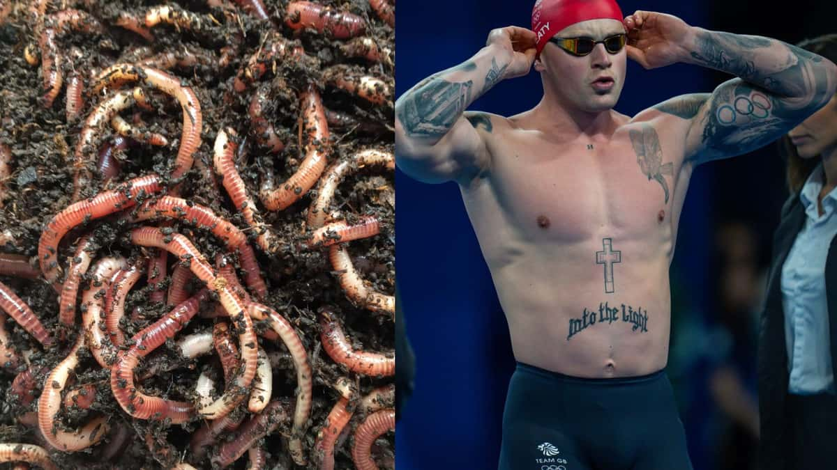 adam peaty and worms