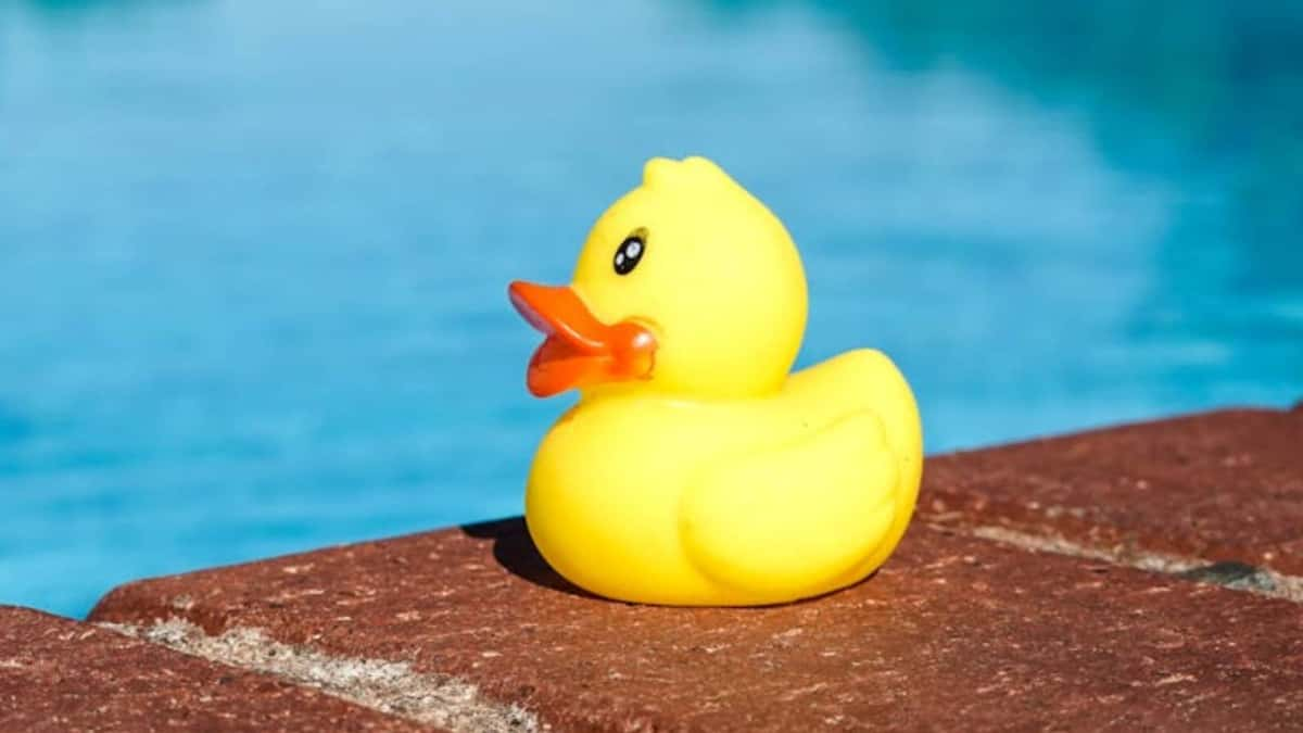 Image of a rubber duck by Magda Ehlers on Pexels.com