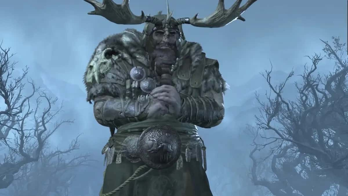 Diablo 4 druid in cold forest