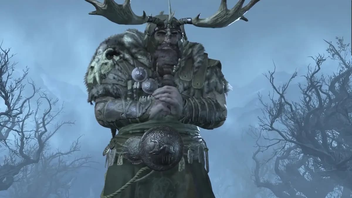 Diablo 4 druid in cold forest