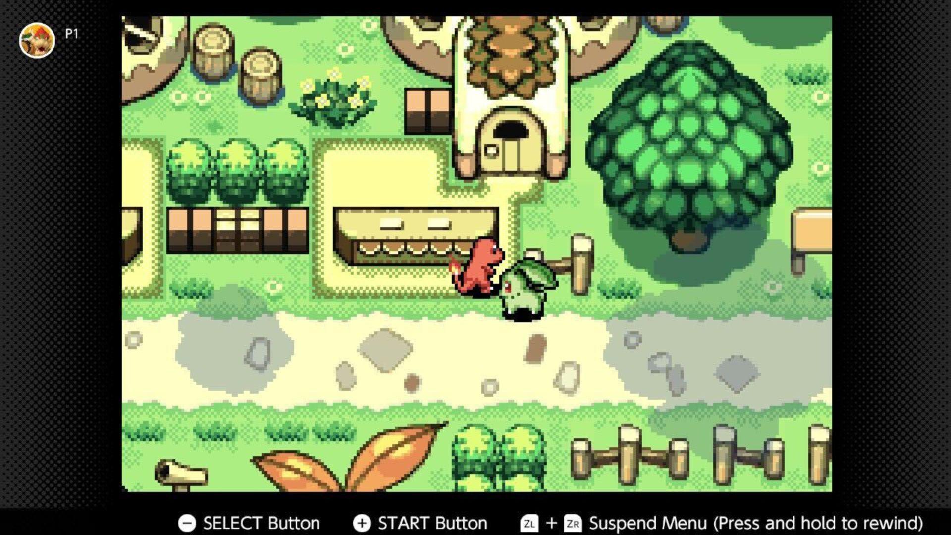 Pokemon Mystery Dungeon Red Rescue Team empty stall.