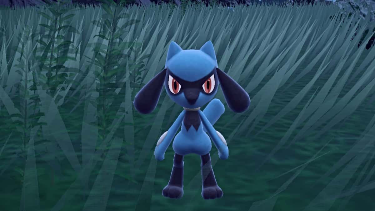 Wild Riolu in Pokemon Scarlet and Violet