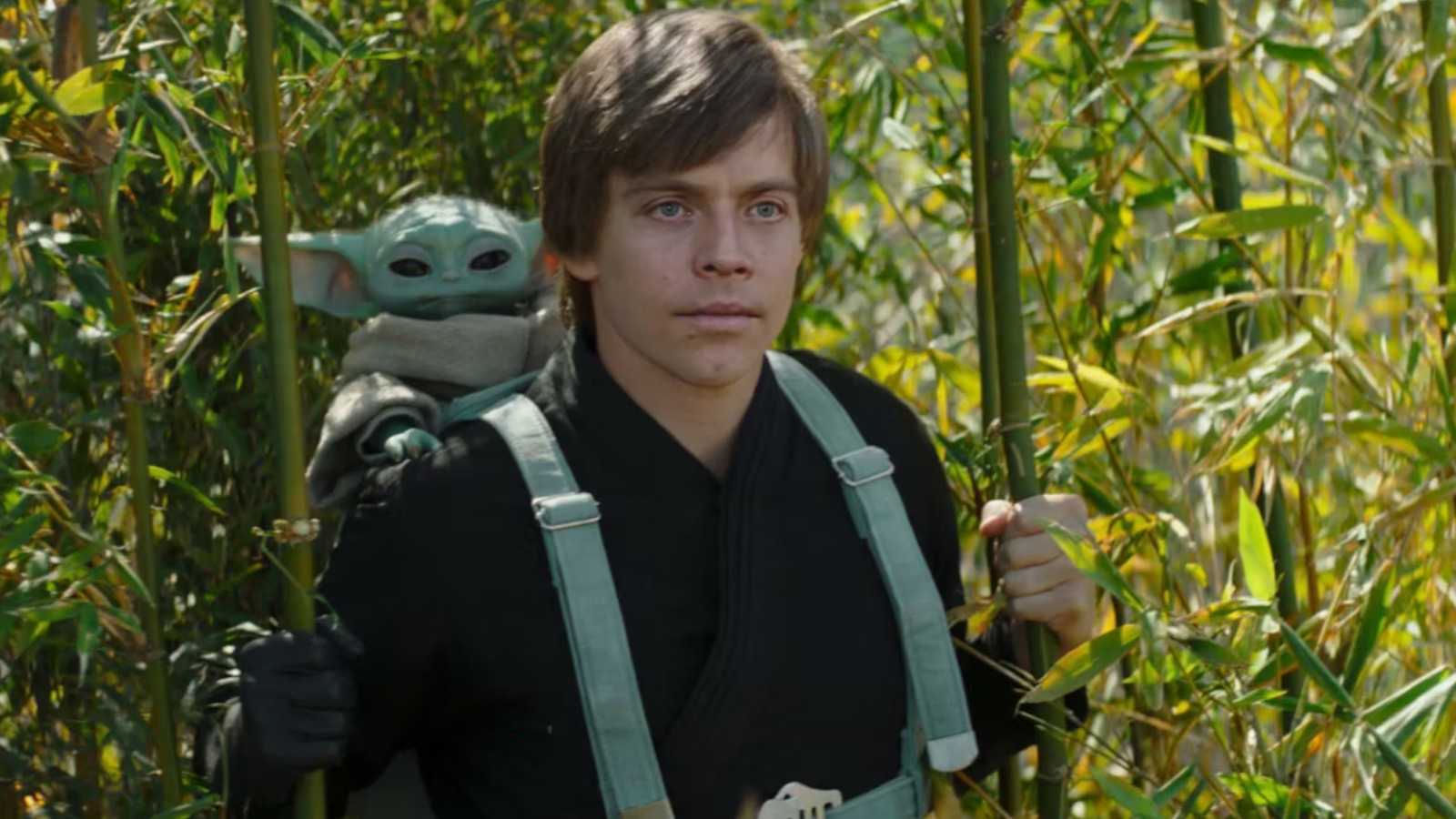 Luke Skywalker in The Book of Boba Fett