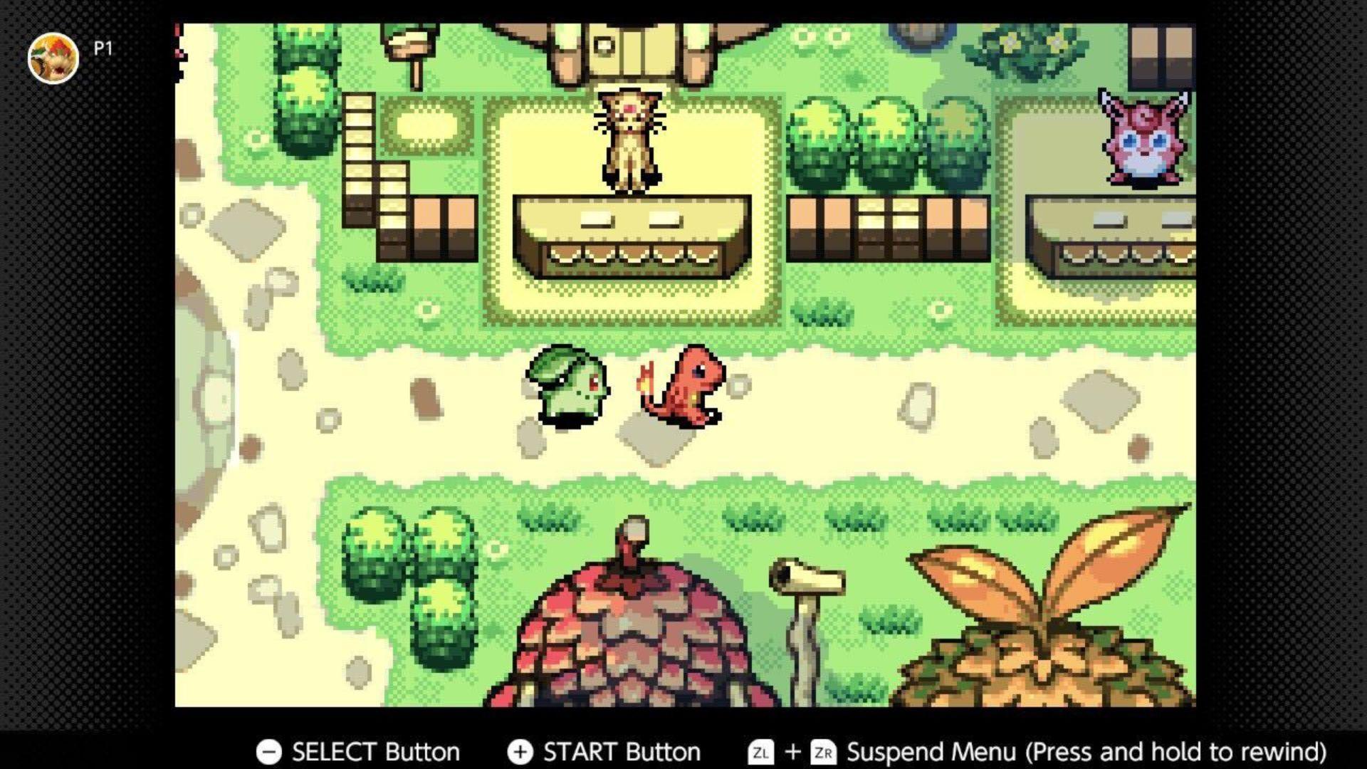 Pokemon in the town Square in Mystery Dungeon.