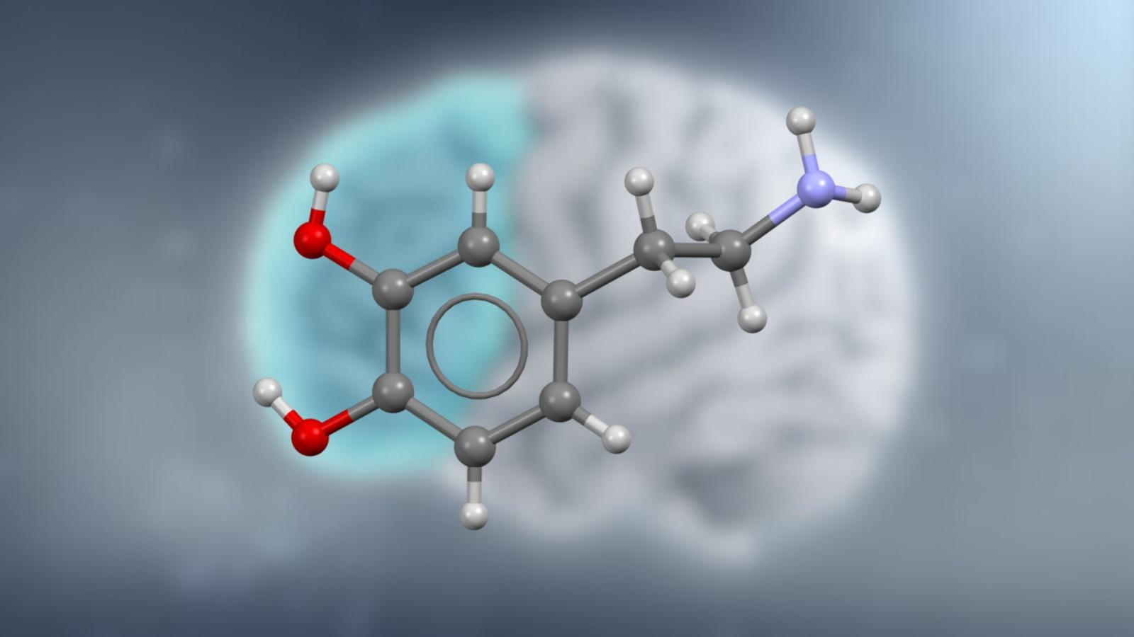 Dopamine Chemical