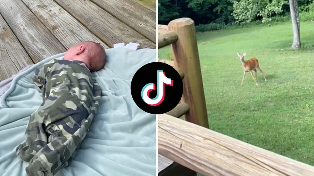 In viral TikTok, deer mistakes a woman's crying baby for her fawn