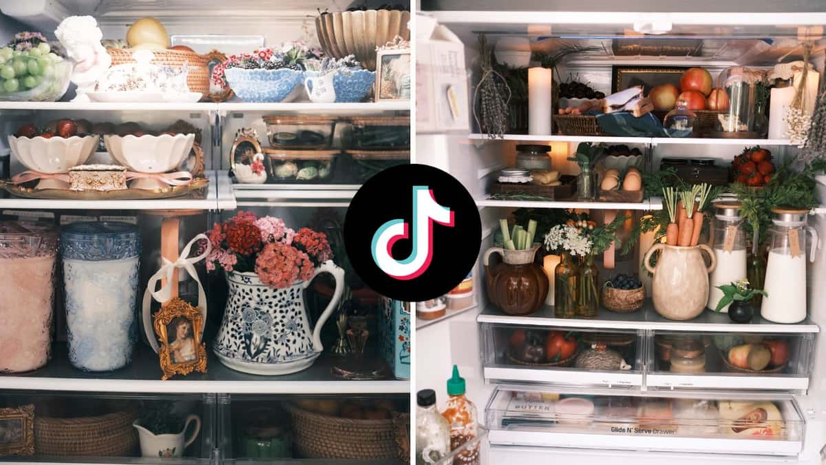 Experts warn against TikTok's fridgescaping trend