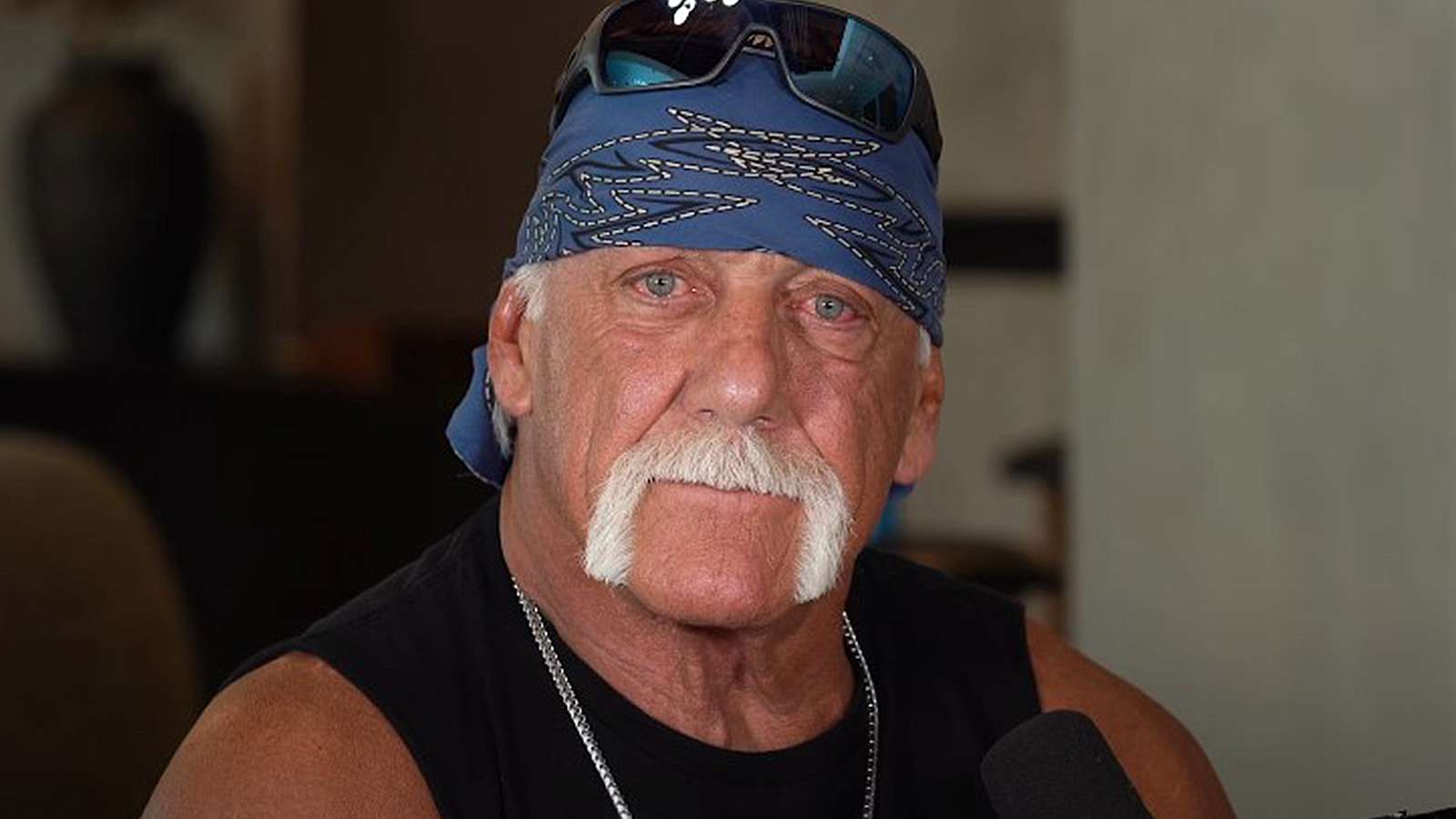 hulk-hogan-worried-jake-paul-will-kill-mike-tyson-boxing