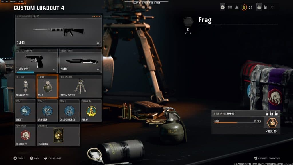 A screenshot of the DM-10 class in Black Ops 6, with perks and equipment.