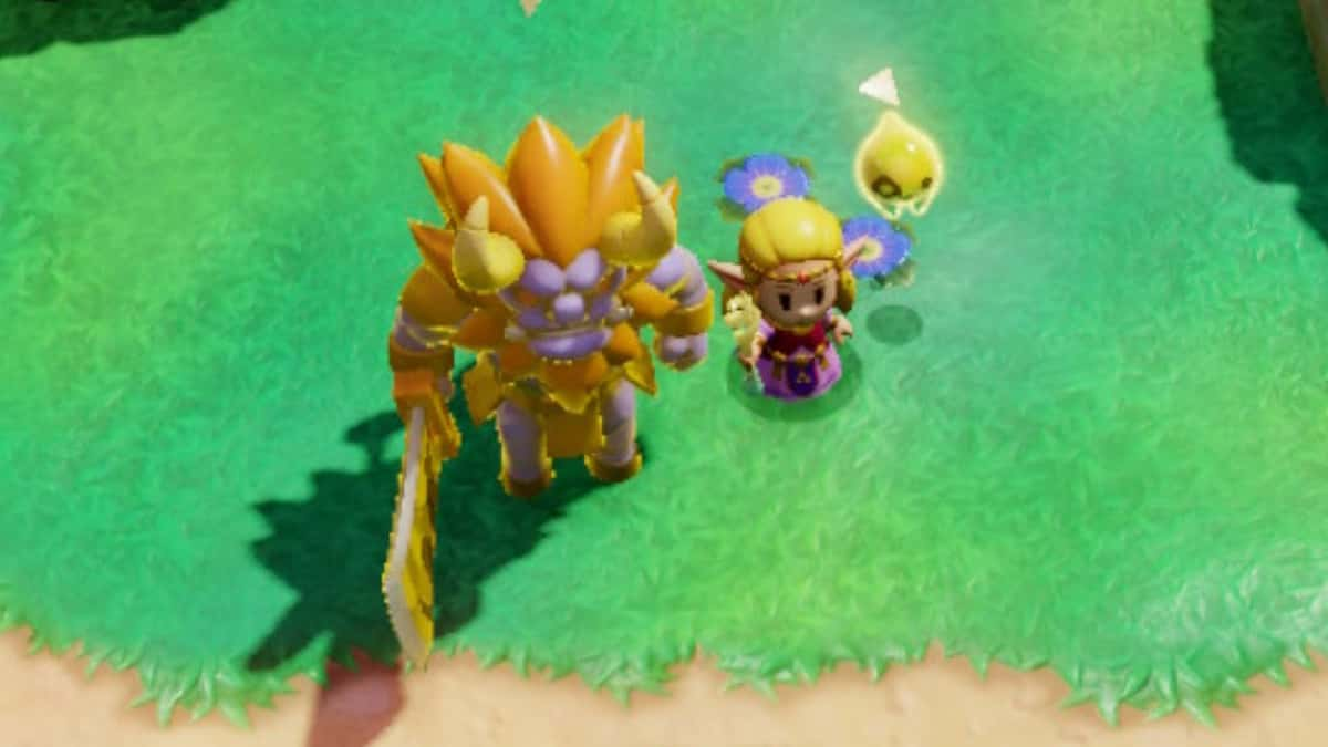 Zelda standing next to a Lynel in a field