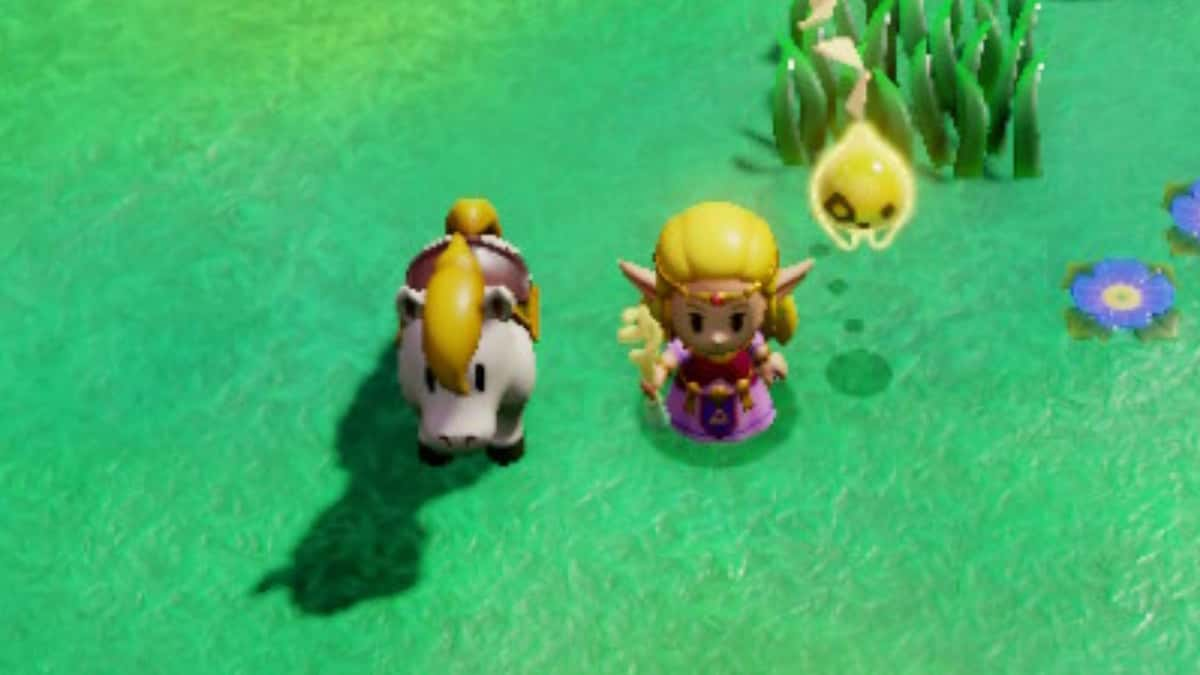 Zelda next to a horse in a field