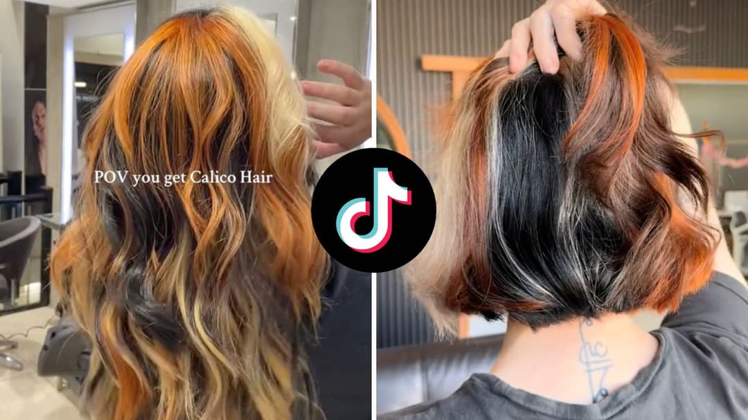 ¿Qué es Calico Hair en TikTok? La tendencia inspirada en los gatos se vuelve viral