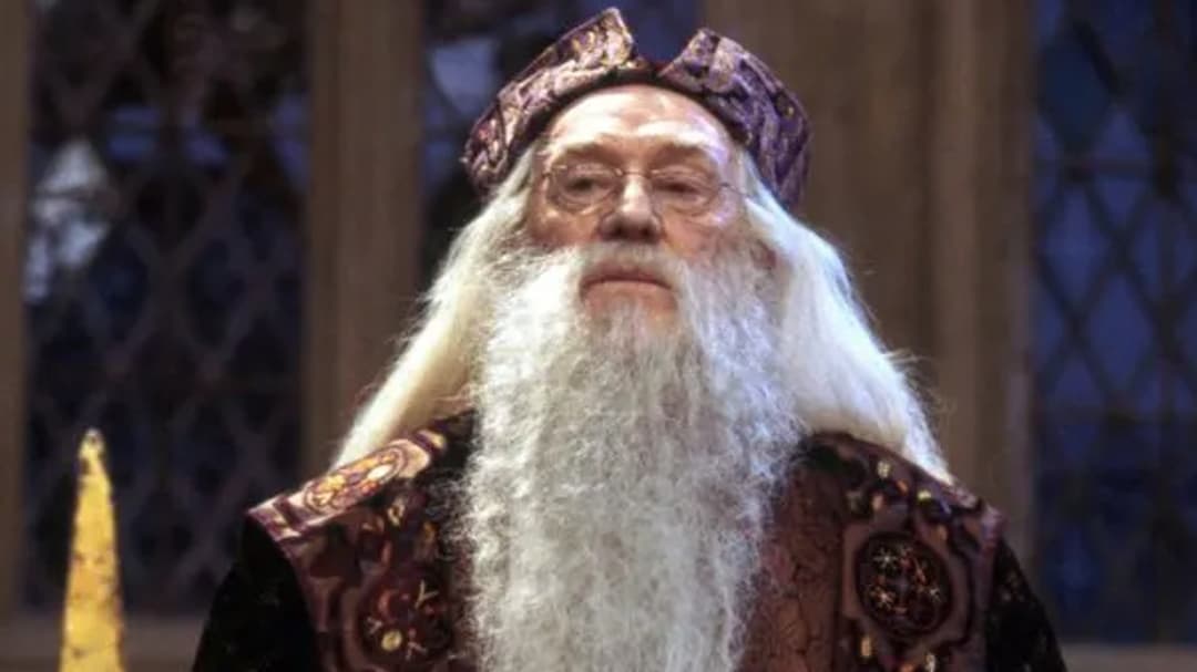 Dumbledore star’s son slams HBO’s “pointless” Harry Potter TV series