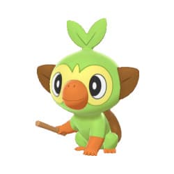 grookey