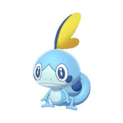 sobble