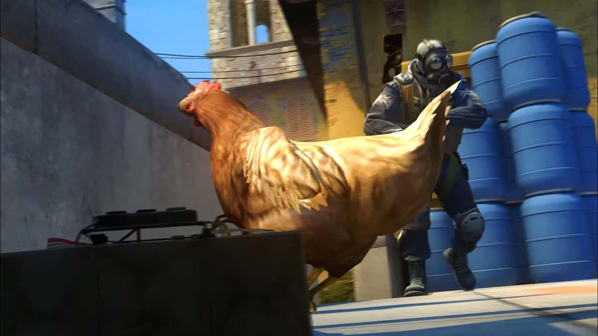 Counter-Strike chicken