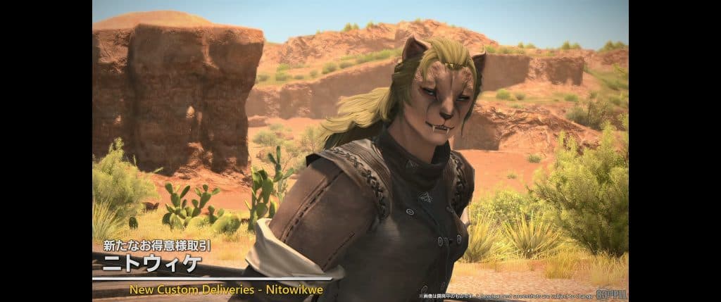 FFXIV Nitowikwe Индивидуальные поставки