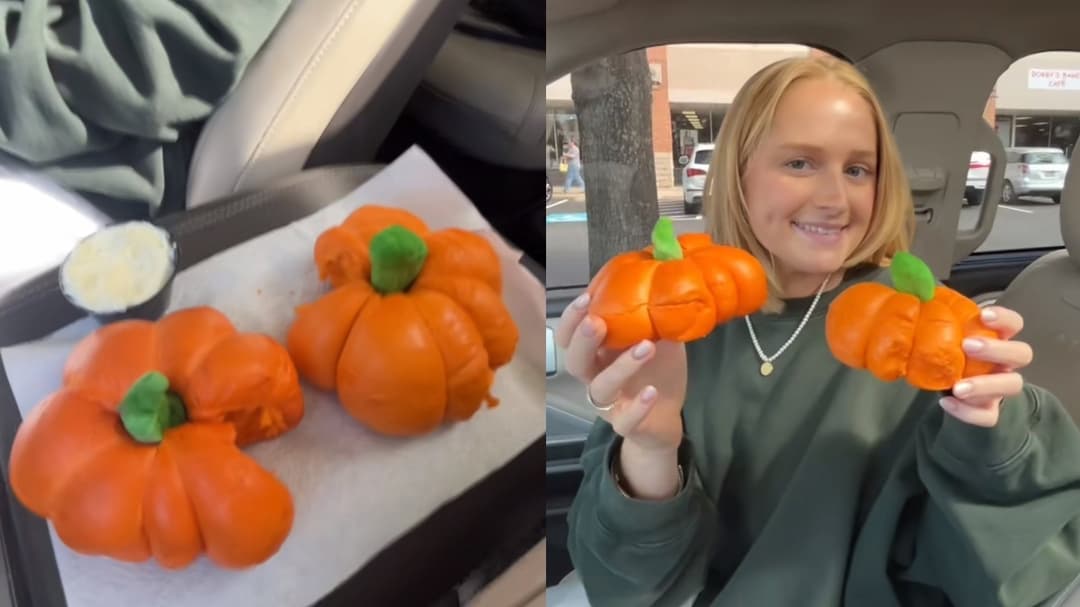 Pumpkin-shaped bagels have TikTokers driving 15 hours for the viral treat