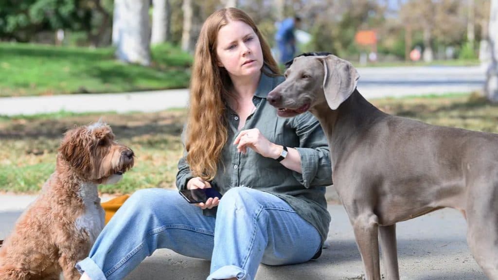 Amy Adams playing with dogs in Nightbitch.