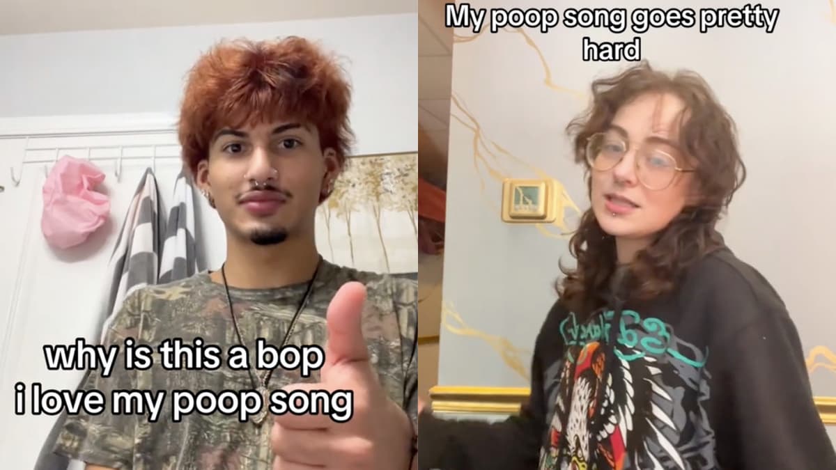 TikTok poop song